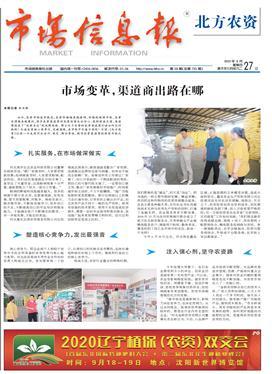 市場信息與數字黨建 讓“信息的燈塔”照亮基層，數字圖書館成為數字化轉型的基石